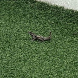 Meet your Posher, Karie